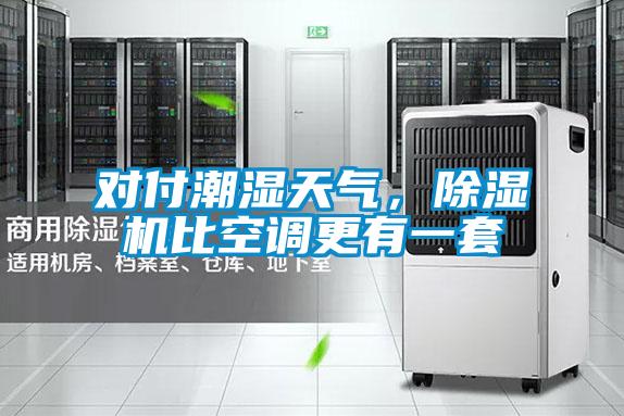 對(duì)付潮濕天氣，除濕機(jī)比空調(diào)更有一套