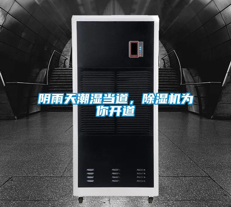 陰雨天潮濕當?shù)?，除濕機為你開道
