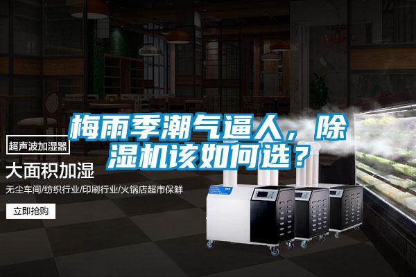 梅雨季潮氣逼人，除濕機(jī)該如何選？
