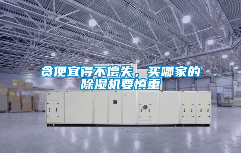 貪便宜得不償失，買哪家的除濕機(jī)要慎重
