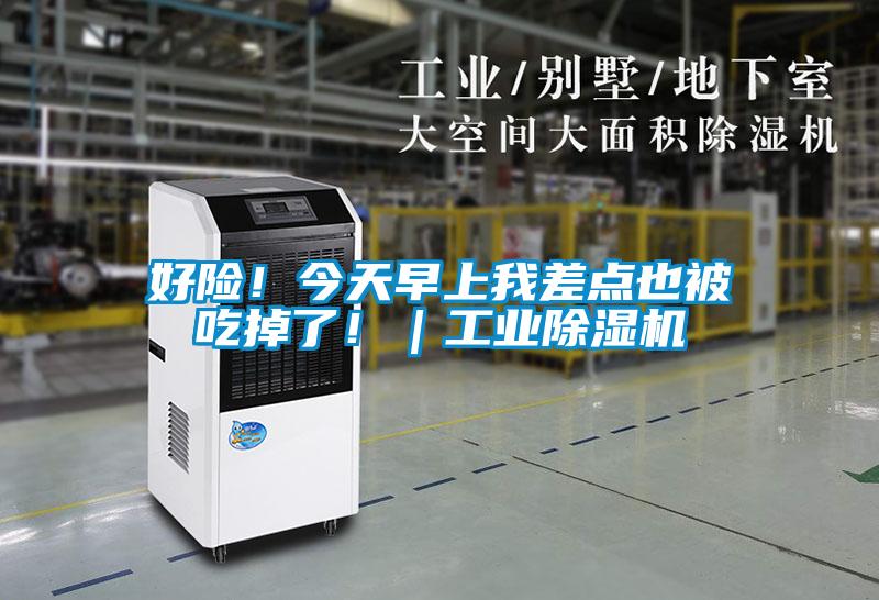好險(xiǎn)！今天早上我差點(diǎn)也被吃掉了?。I(yè)除濕機(jī)