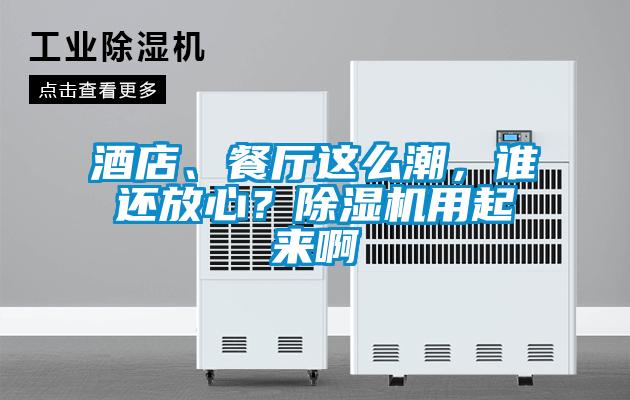 酒店、餐廳這么潮，誰還放心？除濕機用起來啊