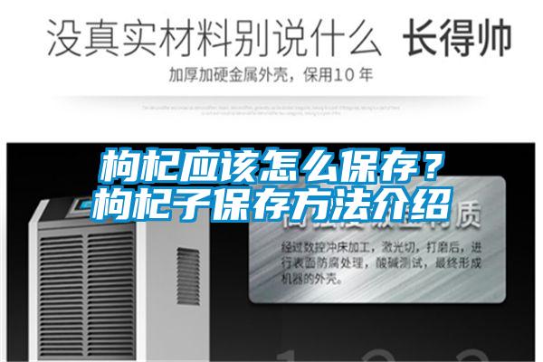 枸杞應(yīng)該怎么保存？枸杞子保存方法介紹