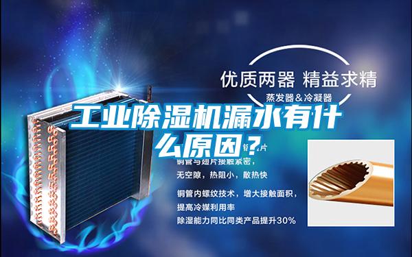 工業(yè)除濕機(jī)漏水有什么原因？