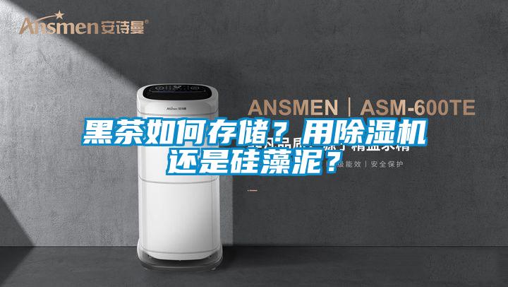 黑茶如何存儲？用除濕機還是硅藻泥？