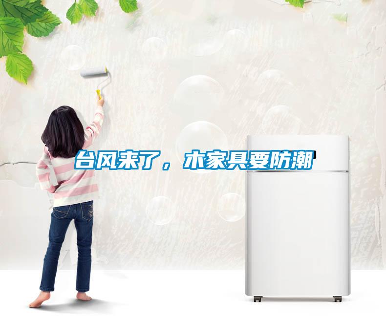 臺風來了，木家具要防潮