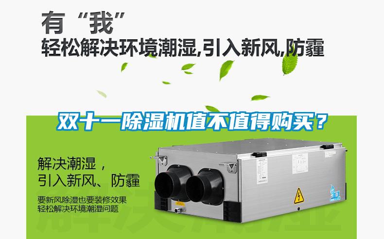 雙十一除濕機值不值得購買？