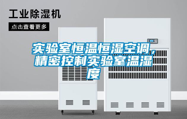 實(shí)驗(yàn)室恒溫恒濕空調(diào)，精密控制實(shí)驗(yàn)室溫濕度