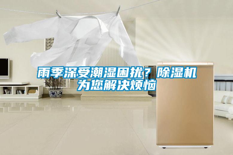 雨季深受潮濕困擾？除濕機(jī)為您解決煩惱