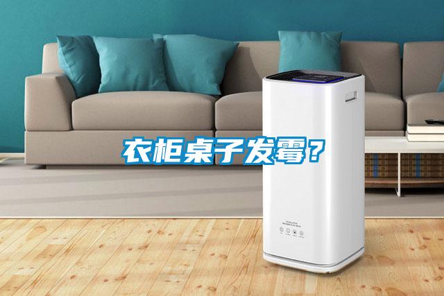 衣柜桌子發(fā)霉？