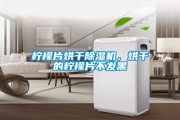 檸檬片烘干除濕機，烘干的檸檬片不發(fā)黑