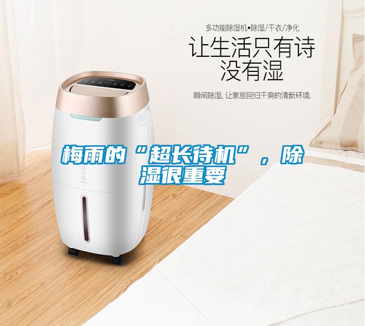 梅雨的“超長(zhǎng)待機(jī)”，除濕很重要