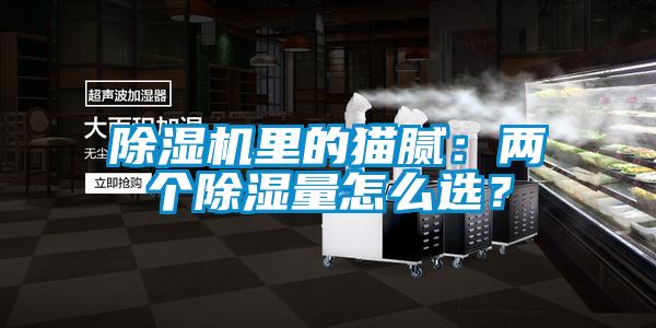 除濕機里的貓膩：兩個除濕量怎么選？