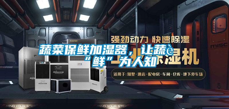 蔬菜保鮮加濕器，讓蔬菜“鮮”為人知