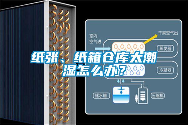 紙張、紙箱倉庫太潮濕怎么辦？