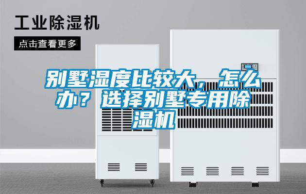 別墅濕度比較大，怎么辦？選擇別墅專用除濕機