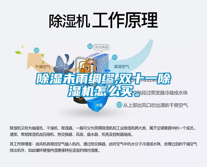 除濕未雨綢繆,雙十一除濕機(jī)怎么買。