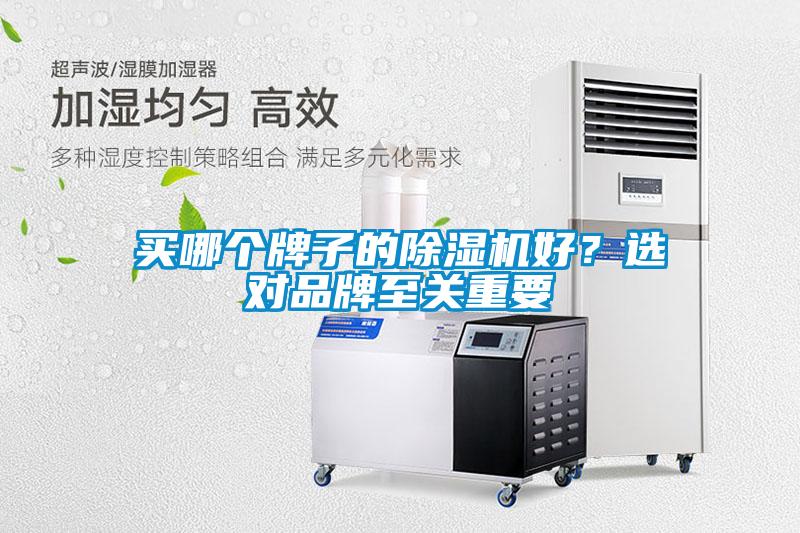 買哪個牌子的除濕機好？選對品牌至關(guān)重要