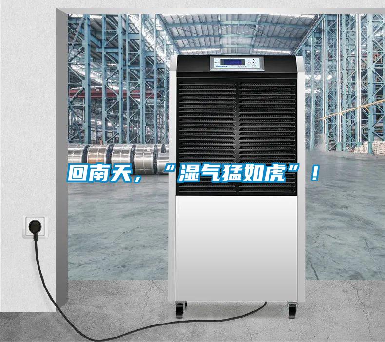 回南天，“濕氣猛如虎”！