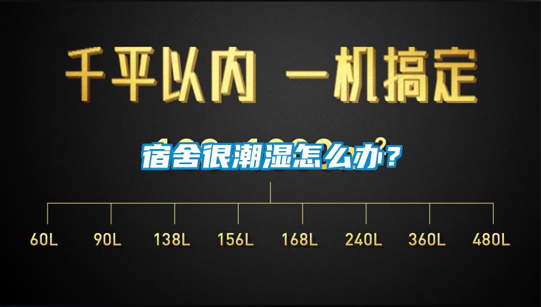宿舍很潮濕怎么辦？