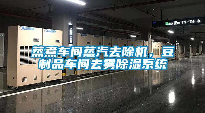 蒸煮車間蒸汽去除機，豆制品車間去霧除濕系統(tǒng)