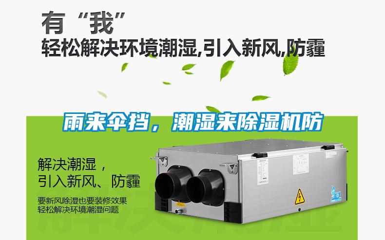 雨來傘擋，潮濕來除濕機防