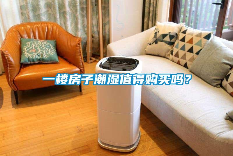 一樓房子潮濕值得購買嗎？