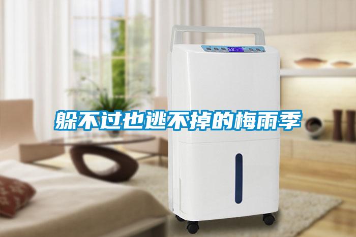 躲不過(guò)也逃不掉的梅雨季