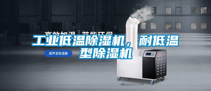 工業(yè)低溫除濕機，耐低溫型除濕機