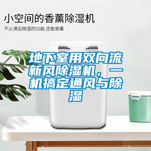 地下室用雙向流新風(fēng)除濕機(jī)，一機(jī)搞定通風(fēng)與除濕