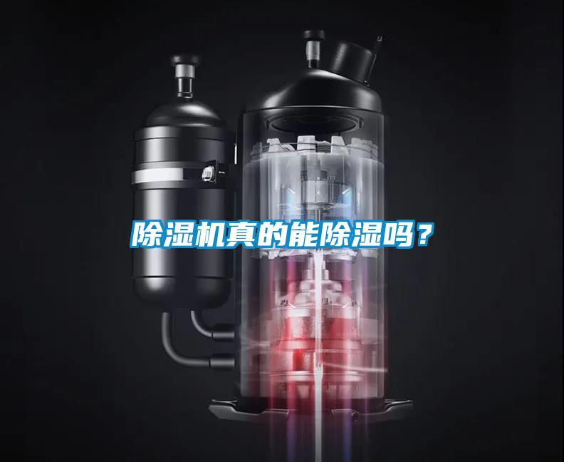 除濕機(jī)真的能除濕嗎？