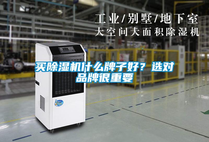 買除濕機什么牌子好？選對品牌很重要