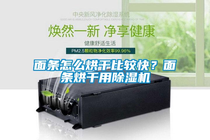 面條怎么烘干比較快？面條烘干用除濕機