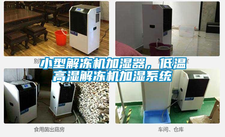 小型解凍機(jī)加濕器，低溫高濕解凍機(jī)加濕系統(tǒng)