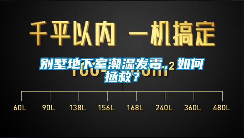別墅地下室潮濕發(fā)霉，如何拯救？