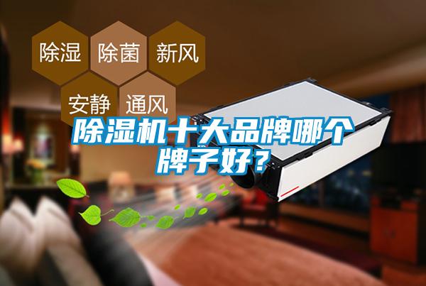 除濕機(jī)十大品牌哪個牌子好？