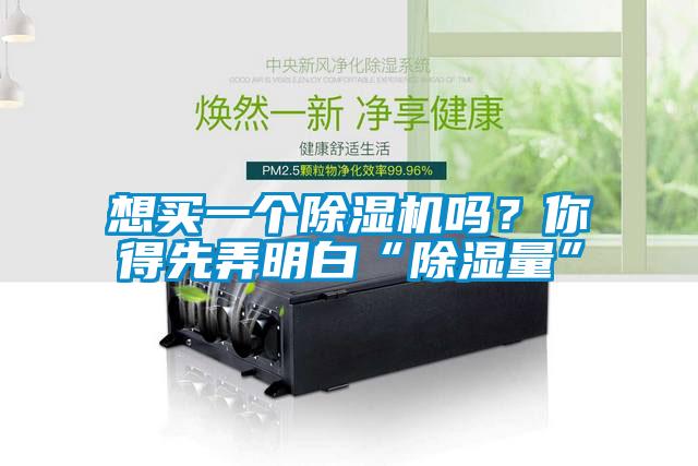 想買一個除濕機嗎？你得先弄明白“除濕量”