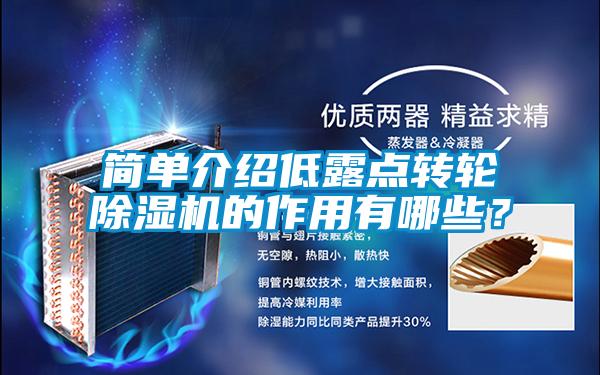 簡單介紹低露點轉(zhuǎn)輪除濕機的作用有哪些？