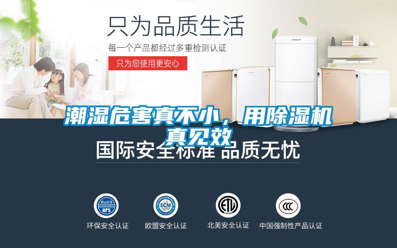 潮濕危害真不小，用除濕機(jī)真見效