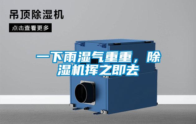一下雨濕氣重重，除濕機(jī)揮之即去