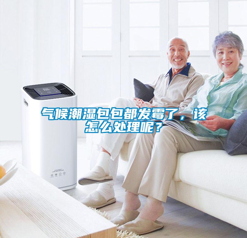 氣候潮濕包包都發(fā)霉了，該怎么處理呢？