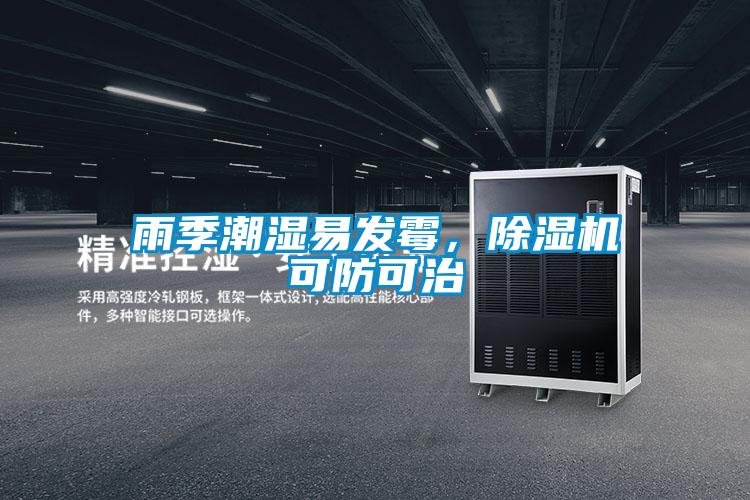 雨季潮濕易發(fā)霉，除濕機可防可治