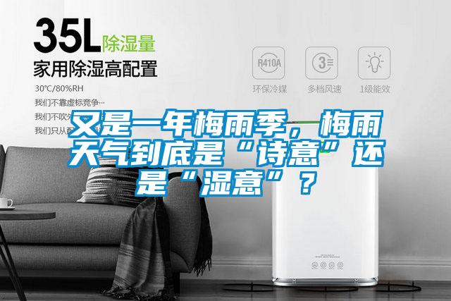 又是一年梅雨季，梅雨天氣到底是“詩(shī)意”還是“濕意”？