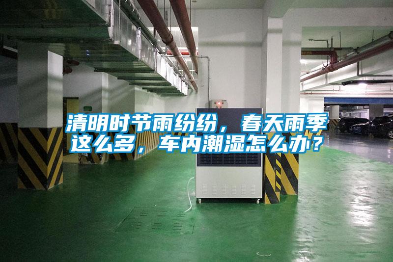 清明時(shí)節(jié)雨紛紛，春天雨季這么多，車內(nèi)潮濕怎么辦？