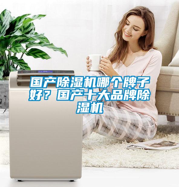 國產(chǎn)除濕機(jī)哪個(gè)牌子好?國產(chǎn)十大品牌除濕機(jī)