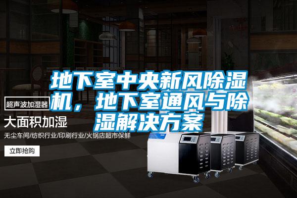 地下室中央新風(fēng)除濕機(jī)，地下室通風(fēng)與除濕解決方案