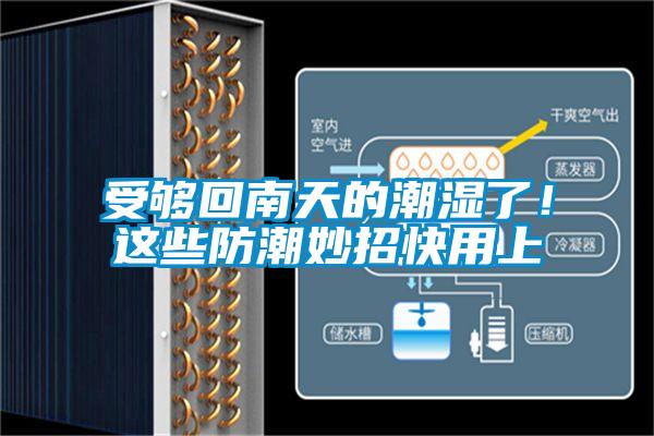 受夠回南天的潮濕了！這些防潮妙招快用上