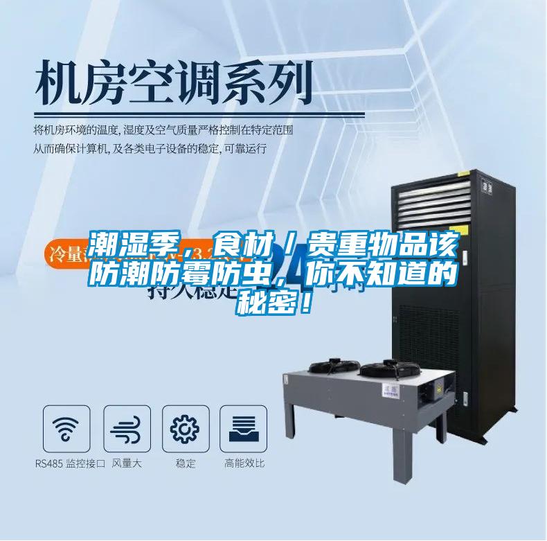 潮濕季，食材／貴重物品該防潮防霉防蟲，你不知道的秘密！