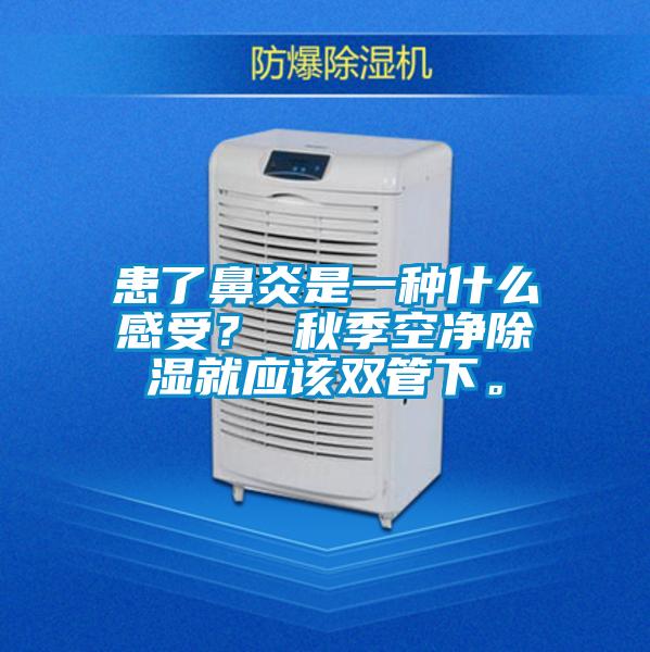 患了鼻炎是一種什么感受？ 秋季空凈除濕就應(yīng)該雙管下。