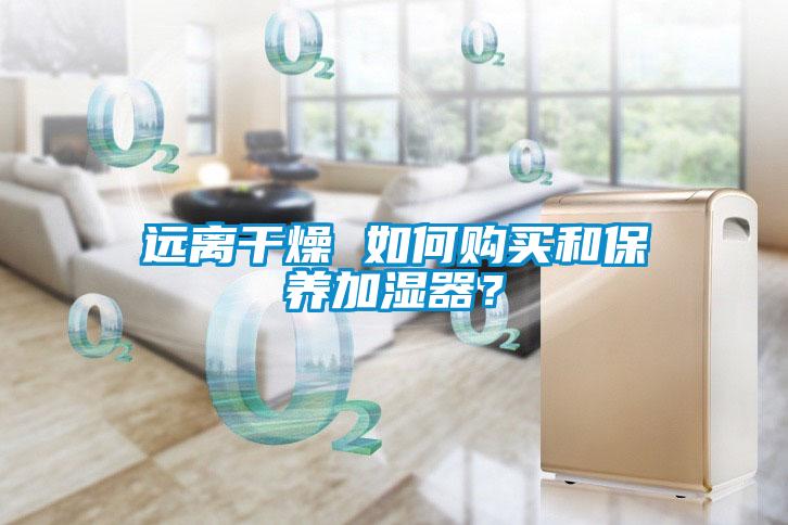 遠離干燥 如何購買和保養(yǎng)加濕器？